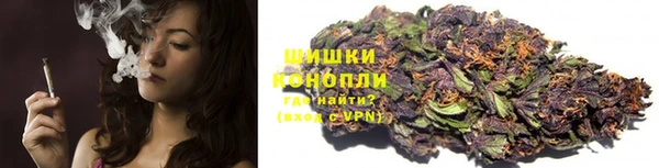 спайс Арсеньев