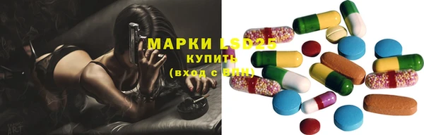 спайс Арсеньев